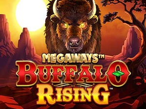 Buffalo Rising